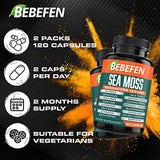 BEBEFEN (2 Packs) 15050mg Sea Moss Capsules with Ashwagandha, Fenugreek, Bladderwrack and More - Immune System & Body Management