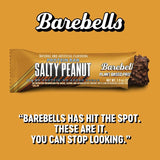 Barebells Vegan Protein Bars Salty Peanut - 12 Count, 1.9oz Bars - Plant Based Protein Bar with 15g of High Protein - Chocolate Protein Snacks with 1g of Total Sugars - On The Go Breakfast Bars