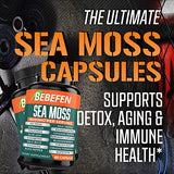 BEBEFEN (2 Packs) 15050mg Sea Moss Capsules with Ashwagandha, Fenugreek, Bladderwrack and More - Immune System & Body Management