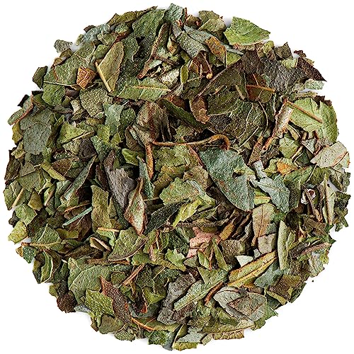 Boldo Leaves Tea Organic - Boldo Leaf - Te de Boldo Organico - Peumus Boldus - Boldo Tea Leaf Boldo Leaves Organic Boldo Leave Tea