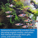 API AMMONIA 130-Test Freshwater and Saltwater Aquarium Water Test Kit