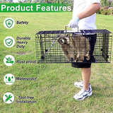 VASALAID Live Animal Trap Cage, 32" X 12" X 12.5" Catch and Release, Humane Live Trap Cage Indoor & Outdoor Foldable Live Trap for Raccoons,Groundhogs, Stray Cats,Squirrels, Rabbits, woodchucks