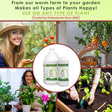 Worm Tea for Gardening and Composting - 32oz Quart - Organic Earthworm Soil Enhancer - Vermicompost Fertilizer - Increase Yields, Boost Growth - Vegetables, Flowers, Fruit and Trees - Plant Probiotic