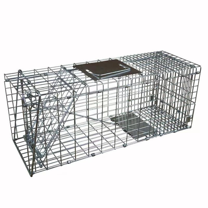 Live Humane Cat Trap for Stray Cats -1 Pack Raccoon Trap, Squirrel Trap, Animal Cage Trap for Armidillo, Rabbit, Feral Cats and Possums, Catch and Release, Collapsible Easy to Store, Dog Proof, 32"