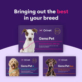 Orivet Genopet Dog DNA Test | Dog Breed Test Kit, Genetic Testing, Heritable Health Risks and Life Plan