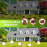 24pack Mole Repellent, Mouse Repellent, Groundhog Repellent, Gopher Repellent, Vole Repellent for Lawn Garden Yard Outdoor, Armadillo Repellent, Mole Deterrent