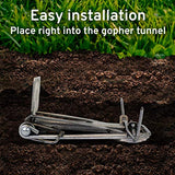 Victor 0611 Easy Set Weather-Resistant Outdoor Gopher Trap 2-Pack