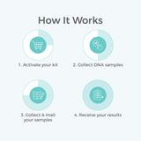 Genetrace DNA Paternity Test Kit - Lab Fees & Shipping Included - at Home Collection Kit for Father and Child - Results in 1-2 Days