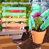 Legigo 10 Pack Premium Coco Coir Brick for Plants- 100% Organic Compressed Coconut Coir Bricks Starting Mix, Coco Coir Fiber Coconut Husk for Planting, Gardening, Potting Soil Substrate, Herbs