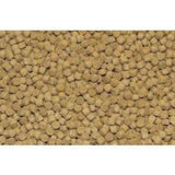 Northfin Premium Cichlid Fish Food - Nutrient-Rich, Color-Enhancing, Slow-Sinking Pellets for Vibrant, Healthy Aquarium Fish - 100g/250g/500g/1kg/2.5kg