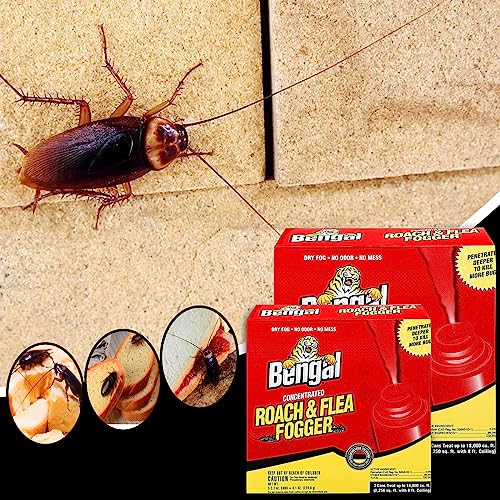 Bengal Roach fogger - Roach Killer - Roach Killer Indoor infestation ...