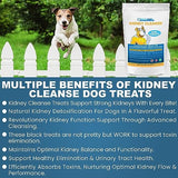 Kidney Cleanse Dog Treats Low Protein Bacon 20 Oz. Dog Treats for Kidney Support. Kidney Friendly Dog Food Diet Treat That Supports Normal Kidney Toxin Elimination