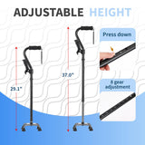 LIXIANG Walking Cane 3 in1 -Foam Padded Offset Handle for Secure & Comfort Grip, Adjustable Lightweight Walking Sticks from 29-37 Inches,Balancing Mobility Aid for Men and Women（Black）