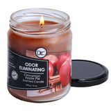 Cinnamon Apple Pie Odor Eliminating Highly Fragranced Candle - Eliminates 95% of Pet, Smoke, Food, and Other Smells Quickly - Up to 80 Hour Burn time - 12 Ounce Premium Soy Blend