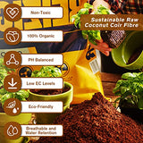 Legigo Pack of 10 Organic Coco Coir Bricks- 100% Natural Compressed Coco Peat Brick Coconut Fiber Substrate with Low EC&pH Balance, Plant Soil Enhance Root Growth for Herbs, Flowers, House Plants