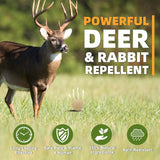 TSCTBA Deer Repellent Outdoor,Rabbit Repellent,Extra-Strength Mint Deer and Rabbit Repellent for Plants/Garden,Deer Deterrent for Trees,Deer Repellent for Yard Powerful,Deer Repellant for Lawn - 8P