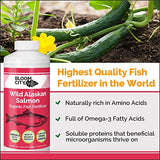 Organic Wild Fish Fertilizer and Plant Supplement, Great for Roots and Soil, Made from Sustainable Salmon, by Bloom City, Gallon (128 oz)