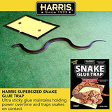 HARRIS Snake Glue Trap, Super Sized for Snakes, Rats, Mice and Insects (3-Pack)