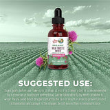 Milk Thistle Seed Liquid Drops by MaryRuth's | Sugar Free | USDA Organic Milk Thistle Drops | Herbal Tinctures | Unflavored | Vegan | Gluten Free | 30 Servings | 1 Fl Oz