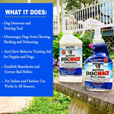 Nature's MACE Dog Repellent 1 Gallon Spray/Treats 3,000 Sq. Ft. / Keep Dogs Out of Your Lawn and Garden/Train Your Dogs to Stay Out of Bushes/Safe to use Around Children & Plants