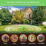 KINGFAC Mole Repellent for Lawns 20 Packs Castor Oil Gopher Repeller Vole Repellent Outdoor Natural Groundhog Deterrent Ball to Get Rid of Voles Mole Gopher Groundhog Armadillo in Your Yard Garden