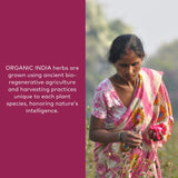 ORGANIC INDIA Tulsi - Holy Basil, Made with Certified Organic Herbs, 180 Veg Capsules