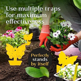 Premium Fruit Fly Traps | Double Sided Gnat Traps | Waterproof Yellow Sticky Traps are Great Outdoors | Also for Fungus Gnats, Aphids, Flies, Moths and Spiders | Pack of 25