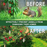 DALIYREPAL Squirrel Repellent Outdoor, Keep Squirrel Away Chipmunk Repellent Outdoor,Squirrels Repellent for Garden, Outdoor Squirrels Repellent for Attic, Squirrel Deterrent Mint -12 Packs
