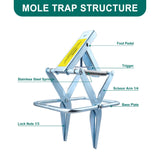 2 Pcs Mole Traps,Galvanized Steel Mole Scissor Trap,Reusable Mole Trap,Mole Killer,Easy Set Mole Eliminator Trap for Lawns-