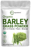 Organic Barley Grass Powder, 16 Ounces | US Grown | Rich in Vitamins, Minerals, Fibers, & Antioxidants | Superfood Greens Mix for Immune Health and Digestion Support | Non-GMO