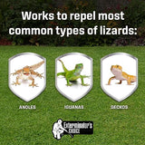 Exterminators Choice - Lizard Defense Repellent Spray - Non-Toxic Deterrent for Pest Control - Repels Lizards and Geckos - Easy to Use - Safe for Kids and Pets (1 Gallon)