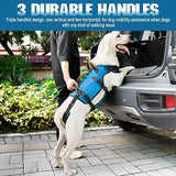 Dog Lift Harness - Petnanny Dog Sling Carrier for Large Elderly Dogs Support Harness for Rear Back Legs Helps, Dog Lift Sling Carrier for Medium Dog Hind Leg Recovery, Old, Disabled, Joint Injuries(L)