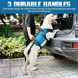 Dog Lift Harness - Petnanny Dog Sling Carrier for Large Elderly Dogs Support Harness for Rear Back Legs Help, Dog Lift Sling Carrier for Medium Dog Hind Leg Recovery, Old, Disabled, Joint Injuries(XL)