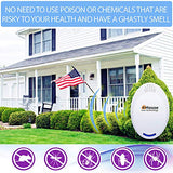 BH-4, Ultrasonic Pest Repeller - Electronic & Ultrasound, Indoor Plug-in Repellent - Get rid of - Rodents, Mice, Squirrels, Bats, Insects, Bed Bugs, Ants, Fleas, Spiders, Roaches (Purple, 2 Pack)