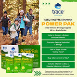 Trace Minerals | Power Pak Electrolyte Powder Packets | 1200 mg Vitamin C, Zinc, Magnesium | Boost Hydration, Immunity, Energy, Muscle Stamina | Lemon Lime | 90 Packets