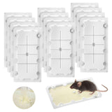 Qualirey 12 Pack Glue Traps for Rats and Snakes, Larger and Heavy Duty Baited Sticky Traps with Non Toxic Glue, Exterminator Plastic Mouse Indoor Trap, Ready to Use, Safe to Children and Pets (White)