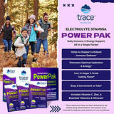 Trace Minerals | Power Pak Electrolyte Powder Packets | 1200 mg Vitamin C, Zinc, Magnesium | Boost Hydration, Immunity, Energy, Muscle Stamina | Acai Berry | 90 Packets