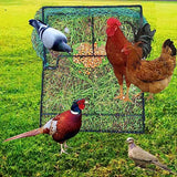 DSQSTMR Bird Trap Pigeon Quail Cage Live Animal Control Spring Starling Chicken Snares for Trapping