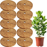 ZeeDix 10 Pcs Coconut Fibers Mulch Ring Tree Protector Mat, 14 Inch Coco Coir Tree Protection, Tree Ring Mats Tree Disc Plant Cover for Indoor or Outdoor