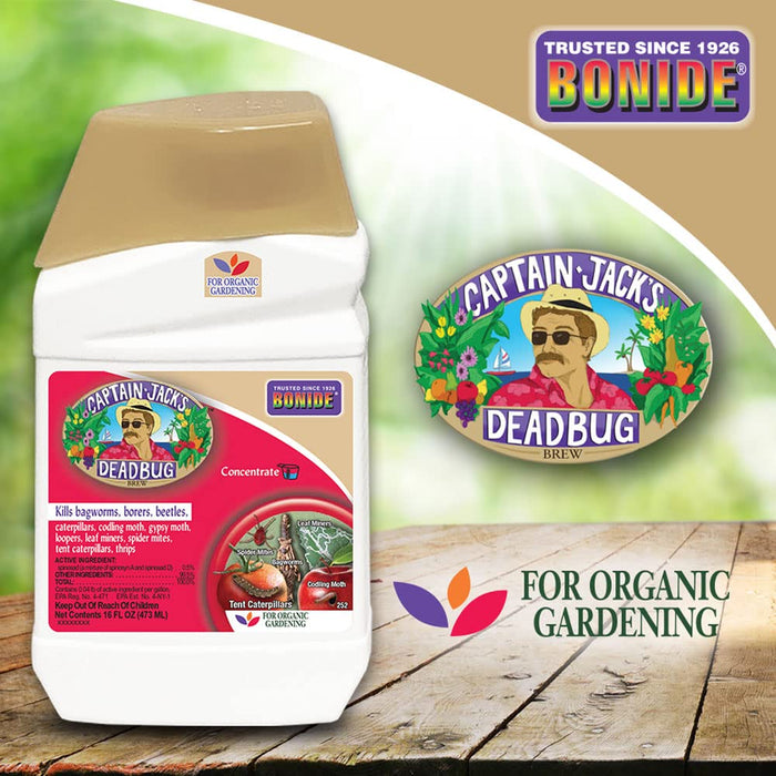 Bonide Captain Jack's Deadbug Brew, 16 oz Concentrate Outdoor Insecticide and Mite Killer for Organic Gardening