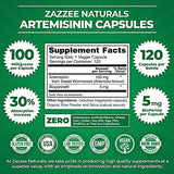 Zazzee High Absorption Artemisinin, 100 mg per Capsule, 120 Vegan Capsules, with 5 mg BioPerine for Maximum Absorption, Sweet Wormwood Extract, 4 Month Supply, All-Natural and Non-GMO