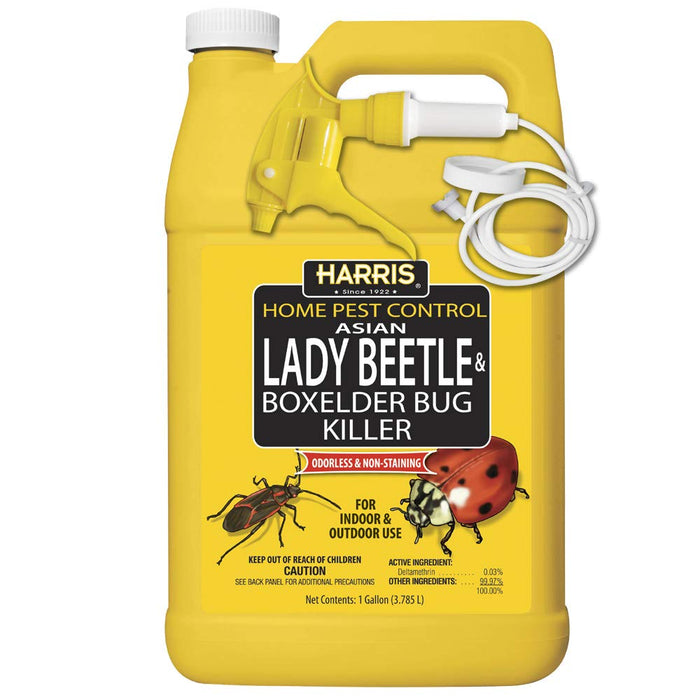 HARRIS Asian Lady Beetle, Japanese Beetle, and Box Elder Killer, Liquid Spray with Odorless and Non-Staining Extended Residual Kill Formula for Insects (Gallon) & Spectracide Bag-A-Bug Japanese