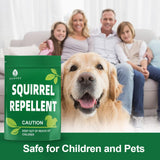 SUAVEC Squirrel Repellent, Chipmunk Repellent, Squirrel Repellant for Attic, Outdoor Squirrel Repellents, Squirrels Deterrent for Garden, Mint Repellent Squirrel for Plants, Keep Squirrel Away-12P