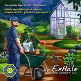 Exhale - Homegrown CO2 for Your Indoor Plants