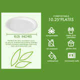 Vplus 150 Pack Compostable Disposable Paper Plates made of 100% Bagasse Natural Biodegradable Eco-Friendly Sugarcane, Super Strong, 10 inch (white)