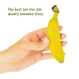 Banana Tree Potting Soil Mix (12 Quarts), Hand Blended Mixture for Banana Plants