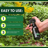 Blooms Super Sprout | All-Purpose Liquid Plant Food for Home Gardening | Ready-to-Use 10-3-3 Foliar Spray Kelp for Indoor and Outdoor Plants | Micronutrients for Sustainable and Vibrant Plant Growth