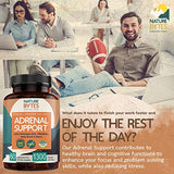Adrenal Support for Women & Cortisol Manager with Ashwagandha Extract, Rhodiola Rosea, Vitamin B Complex - Advanced Fatigue Supplement for Relaxation, Metabolism, Sleep