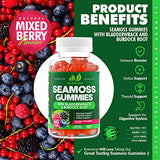Sea Moss 3000mg Gummies with Bladderwrack and Burdock Root - Natural Irish Sea Moss for Immune, Thyroid and Detox Support - Extra Strength, Great Tasting - Gluten-Free, Vegan - 60 Gummies