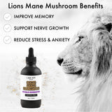I Am Joy: Lions Mane Mushroom Liquid Extract (Alcohol Free) Double Extraction - Pure, High Concentration, Organic Tincture 4oz 100ml